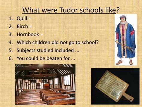 tudor school facts